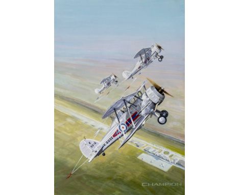 *Champion (Peter, 20th century). Two original artwork by the artist for the Scale Aircraft magazine 1995,  comprising Aerobat