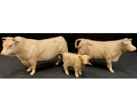 A Beswick model of a Charolais Bull, Charolais Cow and Charolais Calf, printed marks (3) 