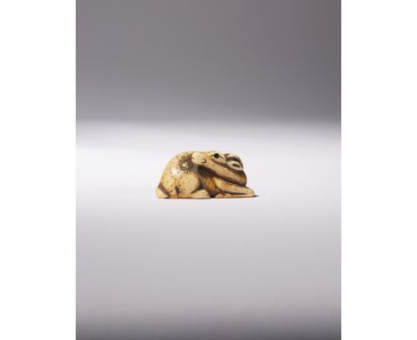 A JAPANESE IVORY NETSUKE OF A DEER EDO PERIOD, 18TH CENTURY The recumbent sika deer depicted with its head turned towards its