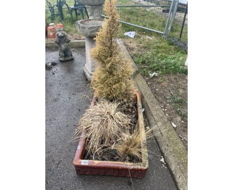 A clay trough with plant