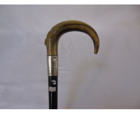 Silver banded horn handled walking stick with engraving '30 years service - Duckworth st Cuoir 1962'