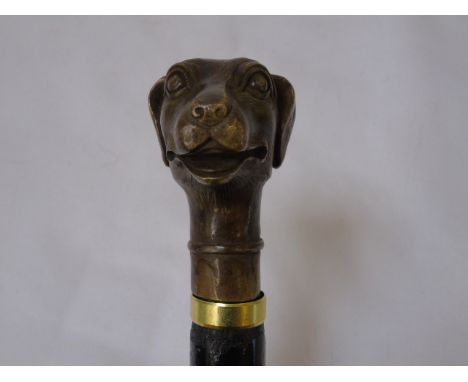 Walking stick with brass dog handle