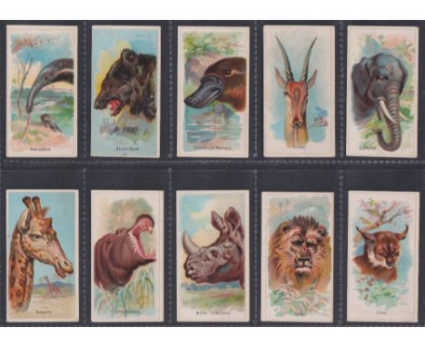 Cigarette cards, USA, Goodwin's, Wild Animals of the World (23/50) (all with light staining to edges of backs, fronts gd) (23