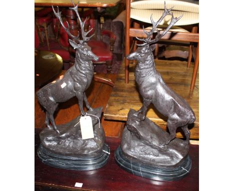 A pair of large bronzed metal models of highland stag, each standing on integral naturalistic bases to black marble plinths, 