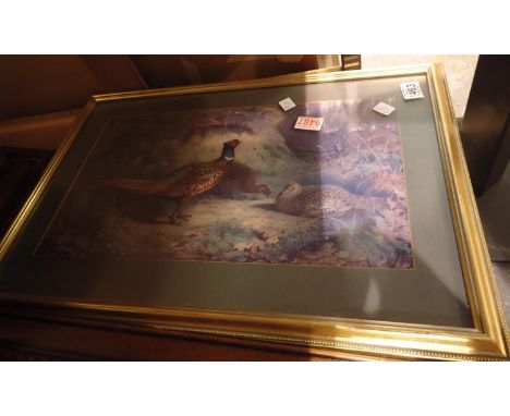 Framed glazed print of a pheasant, L: 40 x 60 cm Not available for in-house P&amp;P, contact Paul O'Hea at Mailboxes on 01925