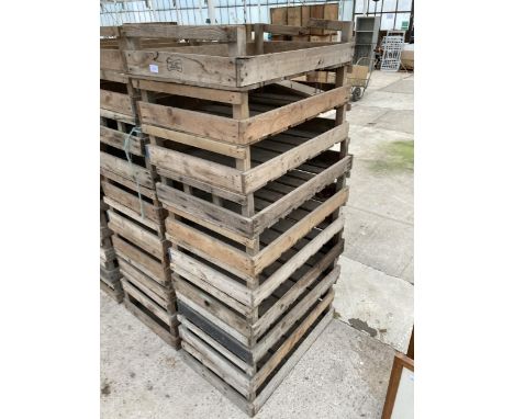 TEN VINTAGE POTATO SPRITTING BOXES