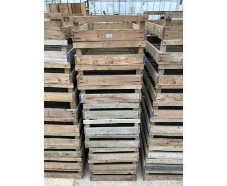 TEN VINTAGE POTATO SPRITTING BOXES
