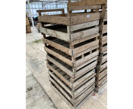 NINE VINTAGE POTATO SPRITTING BOXES