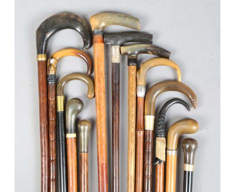 A collection of thirteen mainly late 19th and early 20th century horn handled walking sticks, including some with rhino horn 