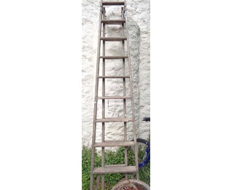 An old wooden orchard ladder