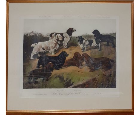 A print after Arthur Wardle, "Field Spaniels of the 20th Century", framed and glazed, (56x69 cm).