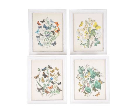 A set of twelve coloured plates of butterflies, from John Obadiah Westwood's The butterflies of Great Britain: with their tra