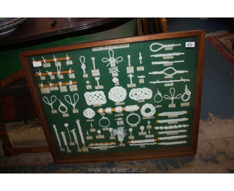 A large vintage framed Display of Knots, ropes and slices