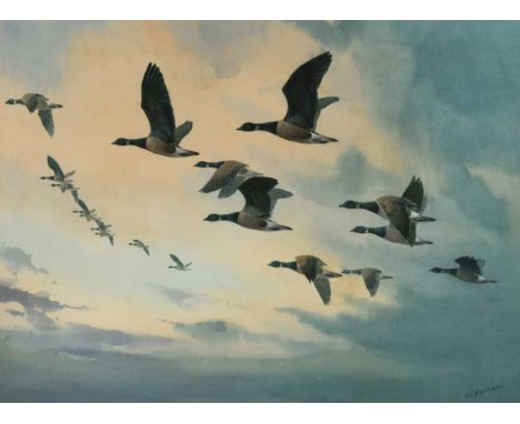 § John Cyril Harrison (British, 1898-1985) Brent Geese in flightsigned lower right 'J.C.Harrison'watercolour53 x 72cmScattere