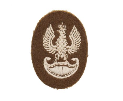 Patch in a form of an eagle with spread wings sitting on an amazon shield, embroided with white thread. The head is topped wi