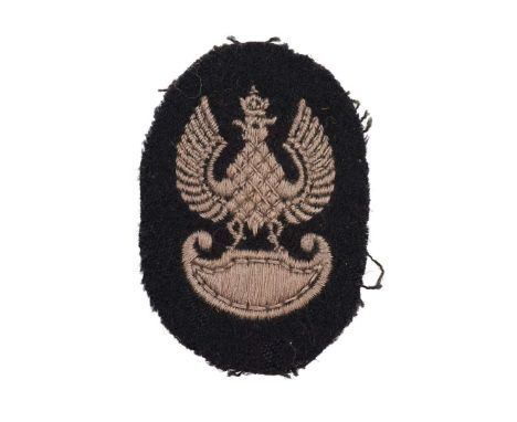 Patch in a form of an eagle with spread wings sitting on an amazon shield, embroided with white thread. The head is topped wi