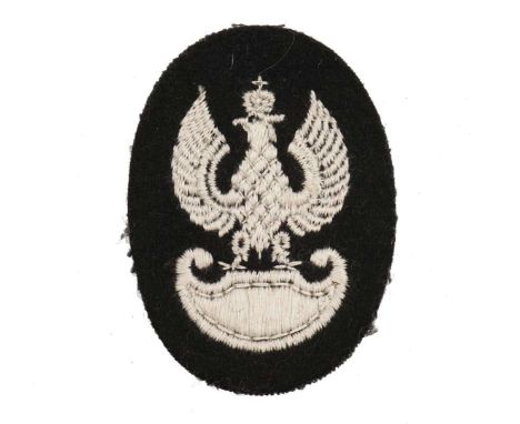 Patch in a form of an eagle with spread wings sitting on an amazon shield, embroided with white thread. The head is topped wi