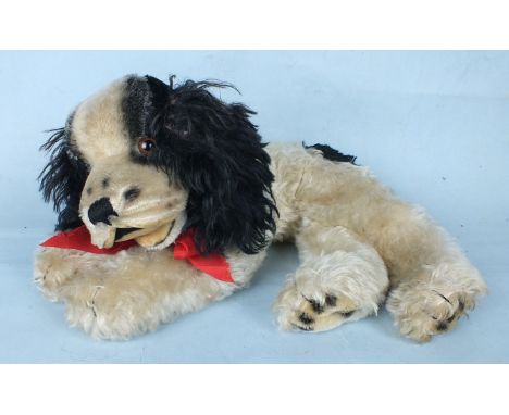 Steiff, a spaniel, lying down, with shaved head, velveteen open mouth and black and white mohair body, button in ear, with ta