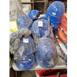 Qty Of Blue Hard Hats