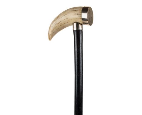 *Walking Stick. A 19th century walking stick,  with a large whale tooth handle mounted on an ebony shaft, the tooth with whit