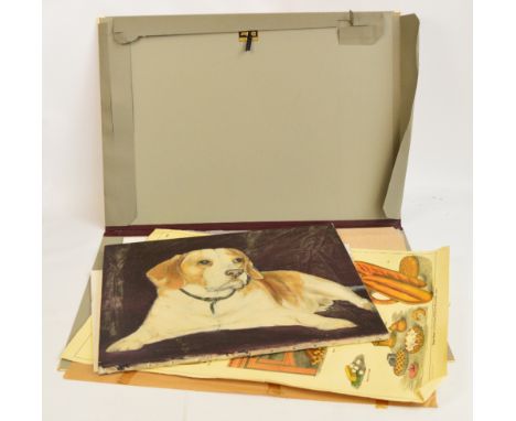 A contemporary oil on canvas, study of a dog and a folio on prints and sketch by Ronald Glendenning.