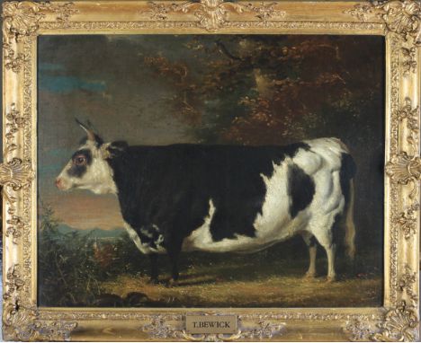 ENGLISH SCHOOL MID 19TH CENTURY SHORT HORN BLACK AND WHITE PRIZE BULL in a landscape, oil on canvas, unsigned, attribution to