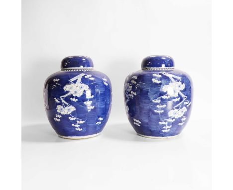 A pair of Chinese blue and white jars and covers, Guangxu (1875-1908), each of ovoid form, painted with blossoming prunus aga