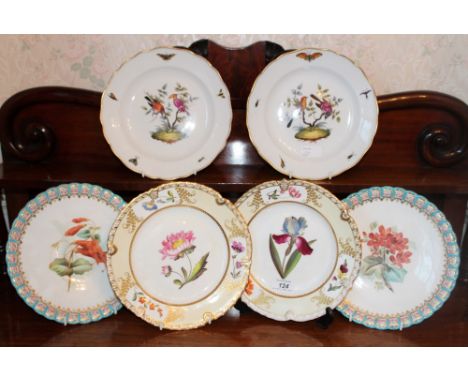 Pair of nineteenth century Davenport porcelain botanical plates, together with a pair of Worcester botanical plates and a pai