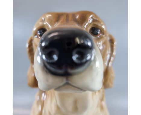Goebel West German study of a Golden Retriever. (B.P. 21% + VAT)