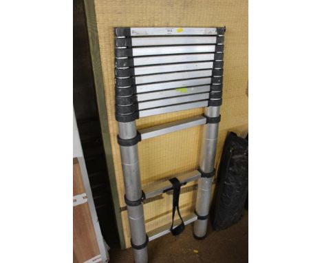 A surveyors extendable ladder