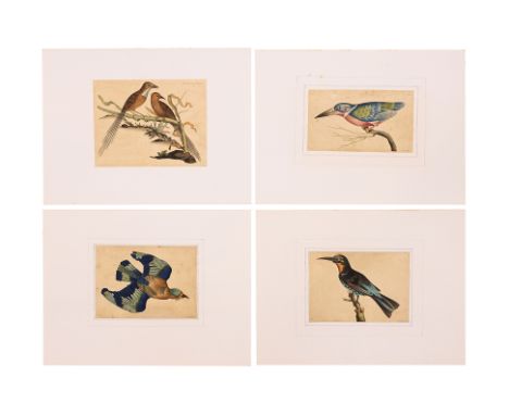 FREDERICK P. NODDER (1751-1800), FOUR PRINTS OF BIRDS From The Naturalist's Miscellany, by George Shaw, 1796-1798, four hand 