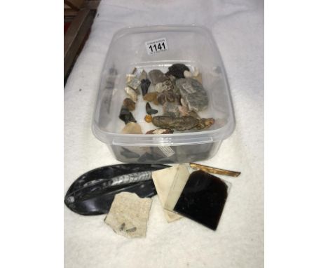 A box containing Neolithic flint tools, piece of amber &amp; fossils, some identified, dinosaur shell, armadillo platelet &am