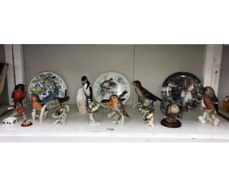 A collection of Goebel bird figurines &amp; other bird related items ( some with slight chipping)