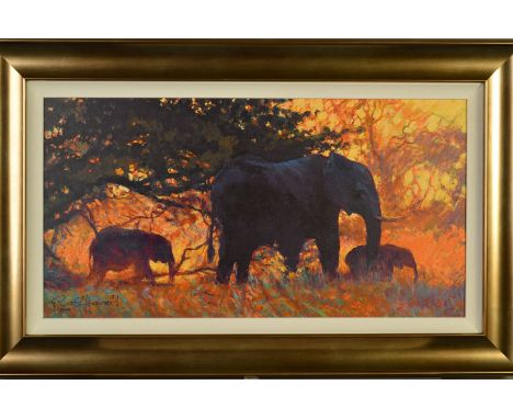 ROLF HARRIS (AUSTRALIAN 1930) 'BACKLIT GOLD', a limited edition print of Elephants in the Bush, 48/195, signed bottom right, 