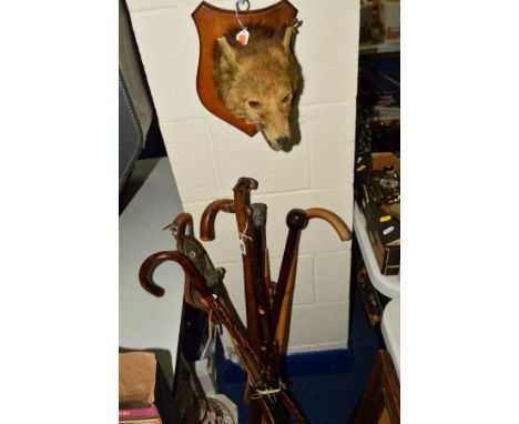 A TAXIDERMY FOX'S MASK ON AN OAK SHIELD AND A BUNDLE OF WALKING STICKS, shooting stick, riding crop, etc, including a damaged