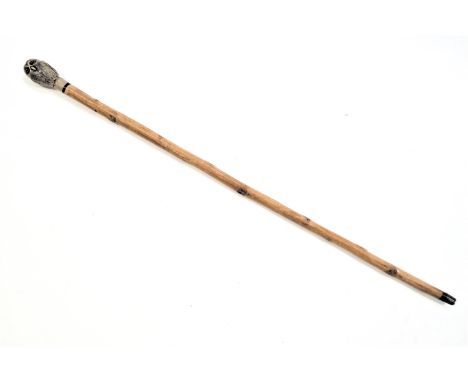 A walking stick, the knop being an owl