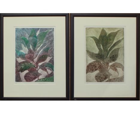 George F. Fallows (British, 1920-2011) Foliate studies a pair, etching with aquatint, both signed and numbered 'A/P' 14 x 10i