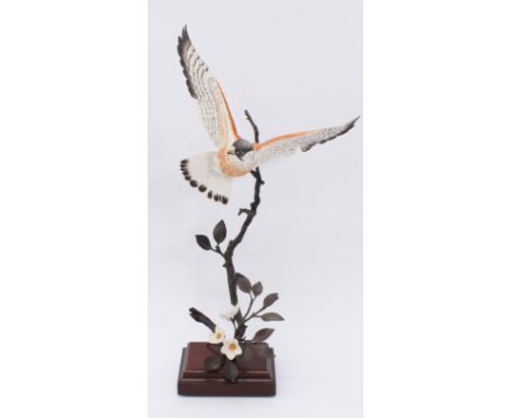 Two David Fryer Studios for Danbury Mint models: 1. a limited edition bronze and bone china model of a Kestrel in flight - th