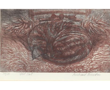 Richard Bawden (British, b.1936) 'Old Cat' etching, signed, titled and numbered '44/75' in pencil 6 x 9½in (15.2 x 24.cm)