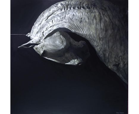 * HUW WILLIAMS, (AKA THE HORSE PAINTER) (b. 1968 - ), SILVER HORSE oil on canvas, signed 151cm x 151cm (approx 60 x 60 inches