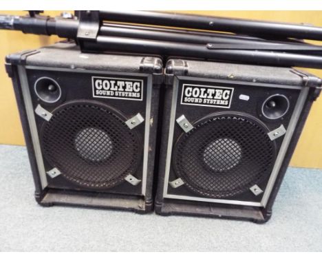 Coltec Sound Systems - a pair of speakers in cabinets with trees (speaker stands) and two jack leads, powerful Kraftvoller so