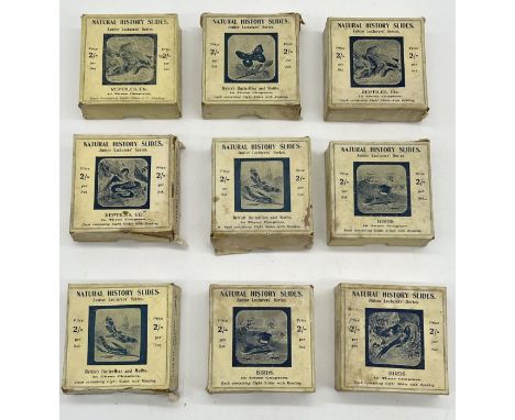 Nine boxed sets of Natural History Magic Lantern slides from the Junior Lecturer's Series each box containing 8 colour slides