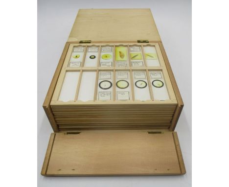 A boxed set of vintage microscope slides, some named
