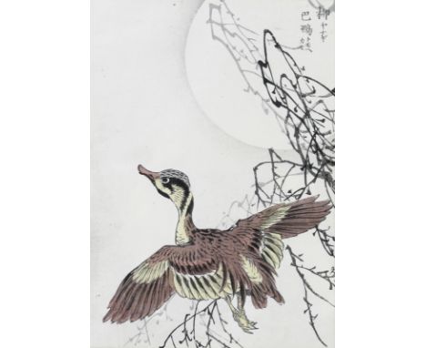 A Japanese coloured woodblock study of a duck in flight, with signature top right, 20 by 14cm, framed, 33 by 28cm, together w