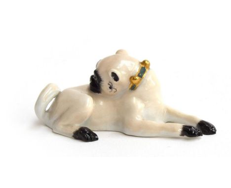 A Meissen model of a pug dog, after J J Kändler, lying down and cleaning his back, wearing a blue ribbon collar applied with 