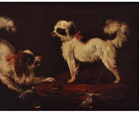 French School, 18th century. Two lap dogs with red ribbon collars, one baiting another stood on an elaborate red cushion, oil