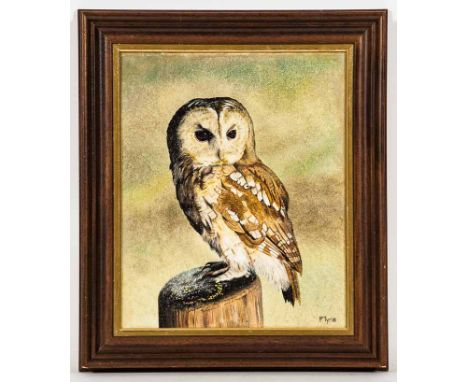 * PETER TYRIE,
TAWNY OWL 
oil on canvas board, signed 
30cm x 24cm 
Framed 
Label verso: T. & R. Annan & Sons, Glasgow 
