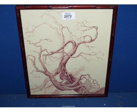A finely executed framed Pen and ink drawing of an ancient tree, unsigned, 11 3/4" x 13 1/4".