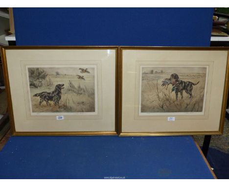 A pair of framed Limited Edition Prints of retriever working dog prints, no. 106/150 and no. 79/150 by Harry Wilkinson.
