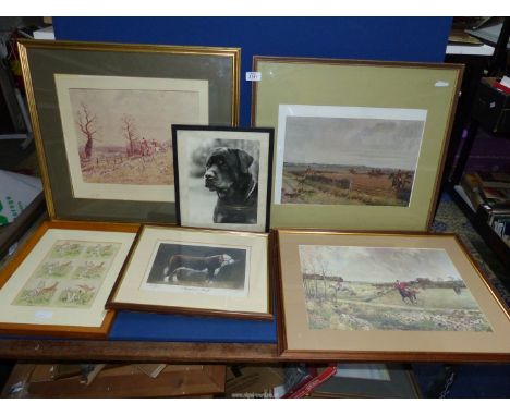 A quantity of pictures to include: Frank Reynolds Cricket Cartoon, Hereford Bull Kingsland Victorious, Two Lionel Edwards hun